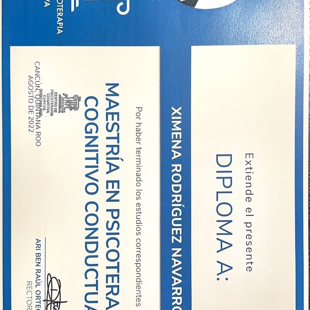 Ampliar imagen: certificate 2