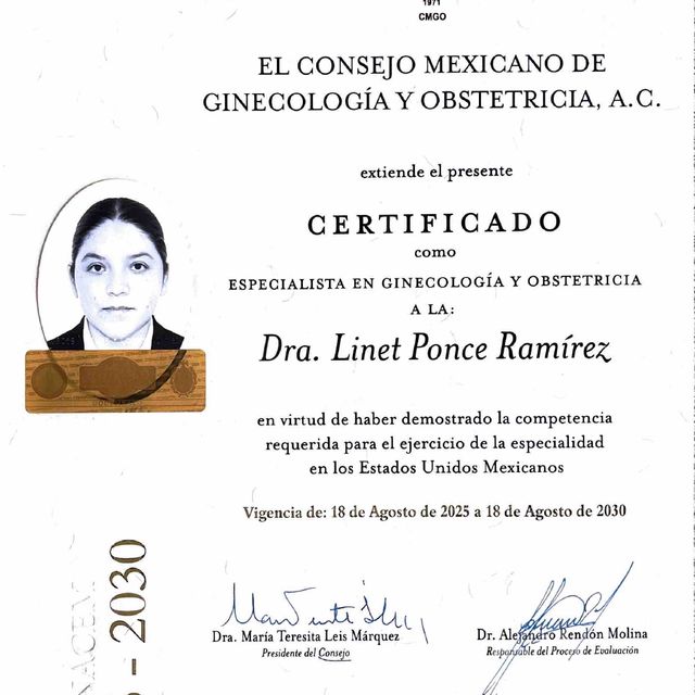 Ampliar imagen: certificate 4