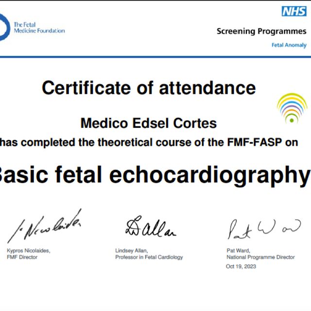 Ampliar imagen: certificate 4