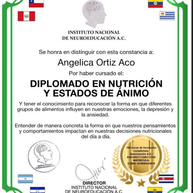 Ampliar imagen: certificate 17
