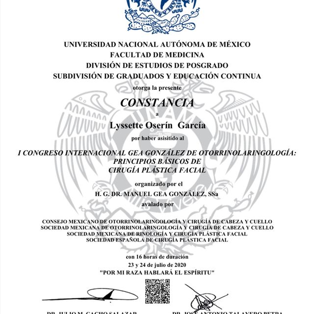 Ampliar imagen: certificate 3