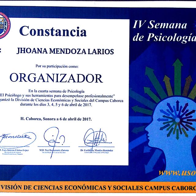 Ampliar imagen: certificate 5