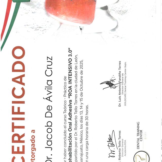 Ampliar imagen: certificate 5