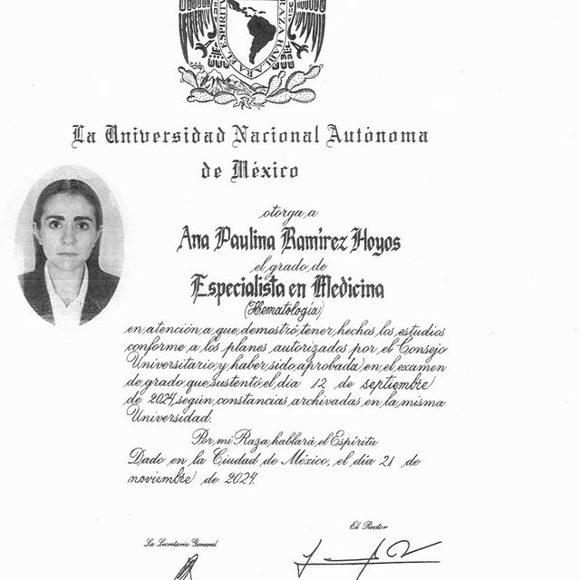 Ampliar imagen: certificate 3