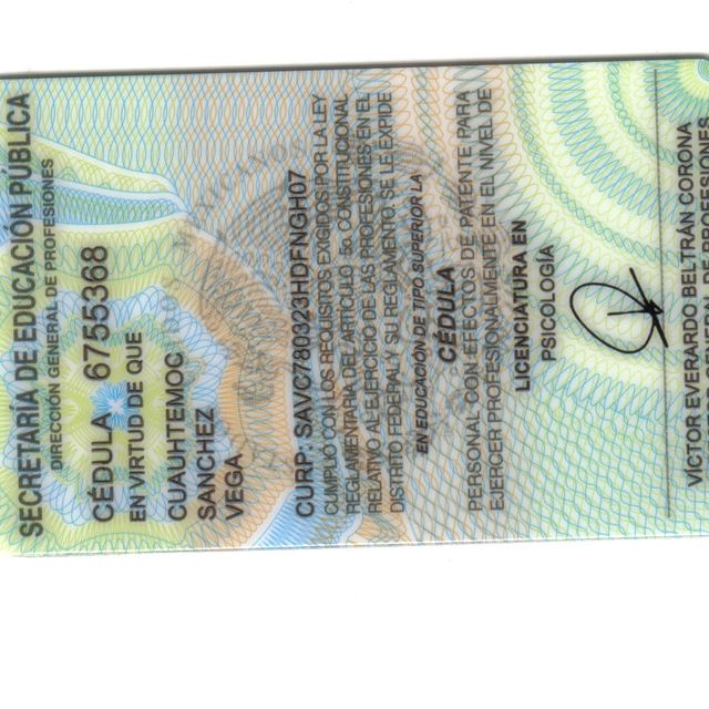 Ampliar imagen: certificate 5