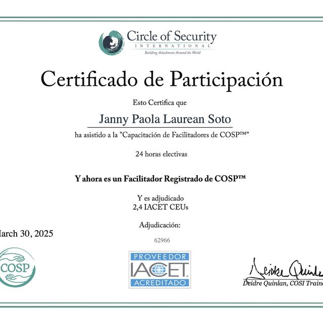 Ampliar imagen: certificate 3