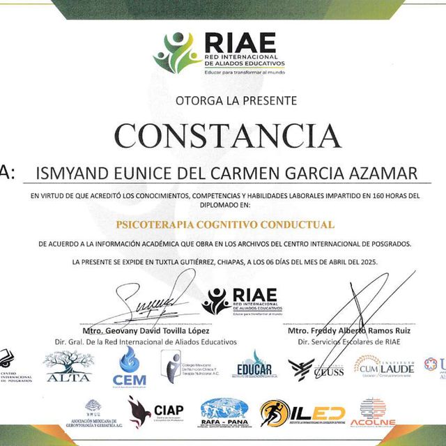 Ampliar imagen: certificate 1