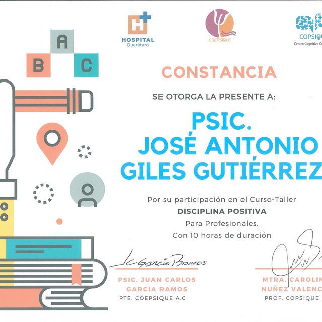 Ampliar imagen: certificate 7