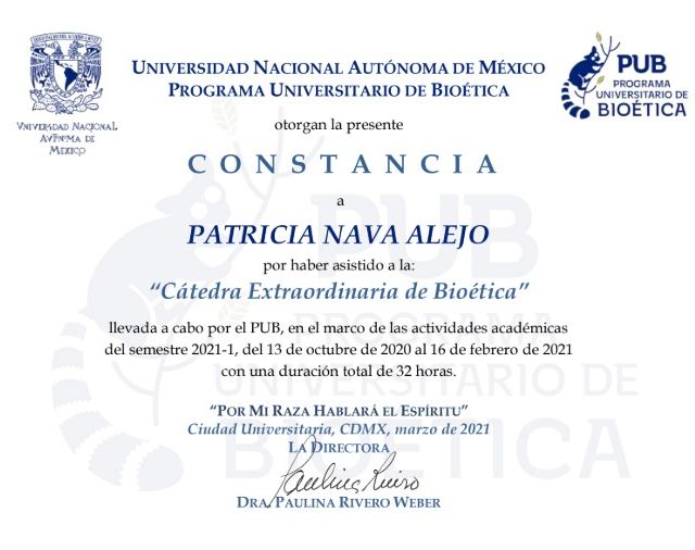 Ampliar imagen: certificate 4