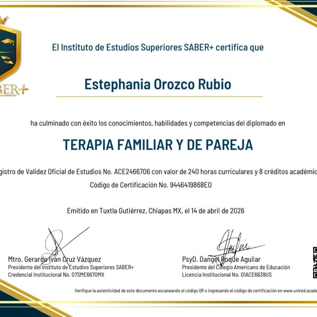 Ampliar imagen: certificate 5
