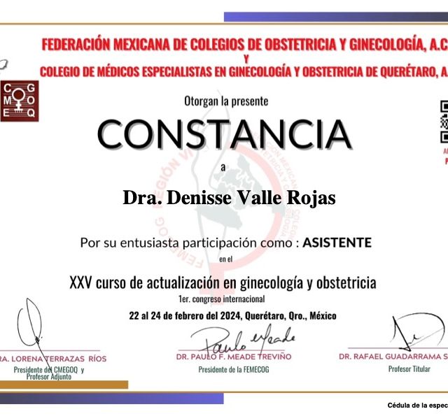 Ampliar imagen: certificate 11