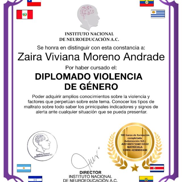 Ampliar imagen: certificate 7