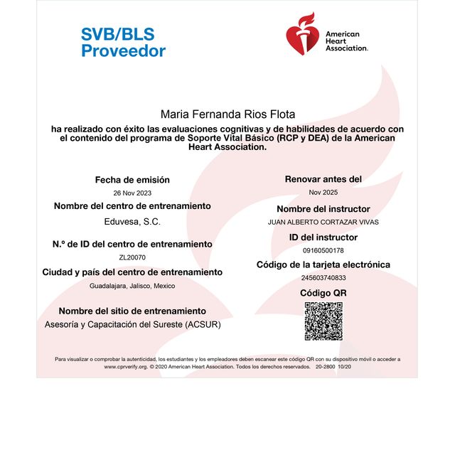 Ampliar imagen: certificate 4