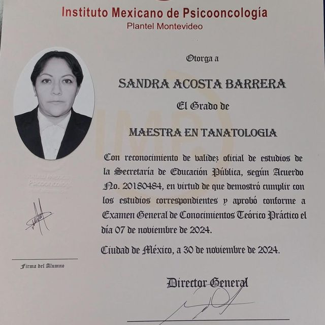 Ampliar imagen: certificate 2