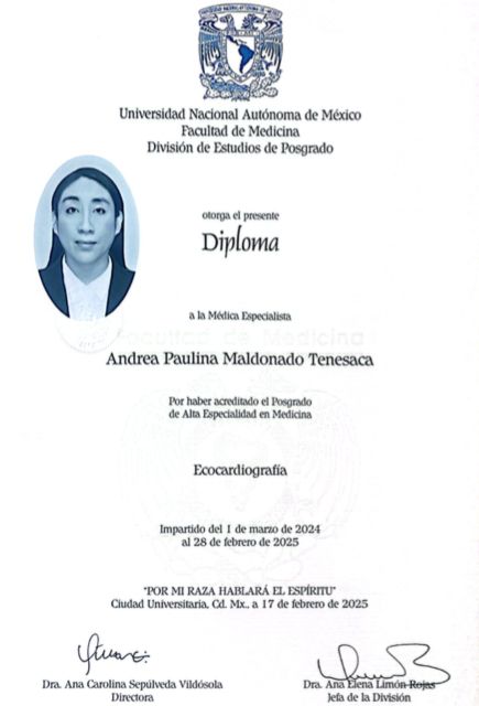 Ampliar imagen: certificate 3