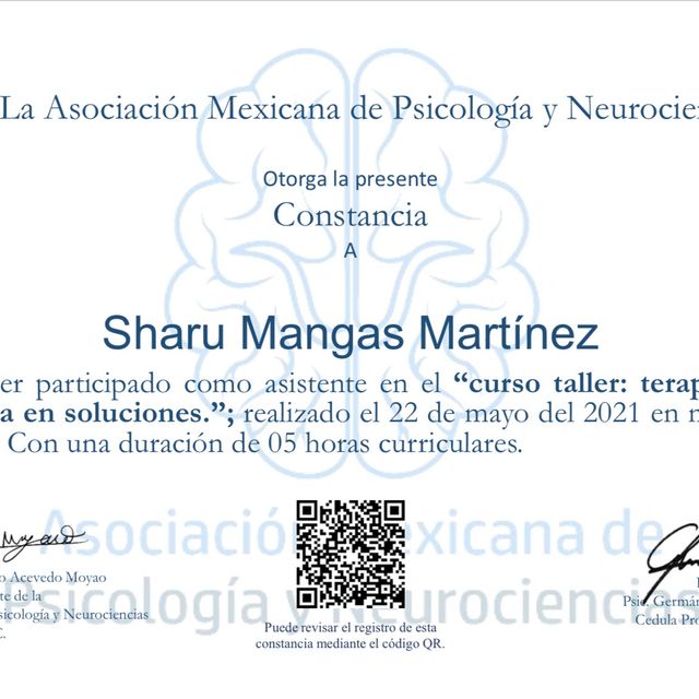 Ampliar imagen: certificate 4