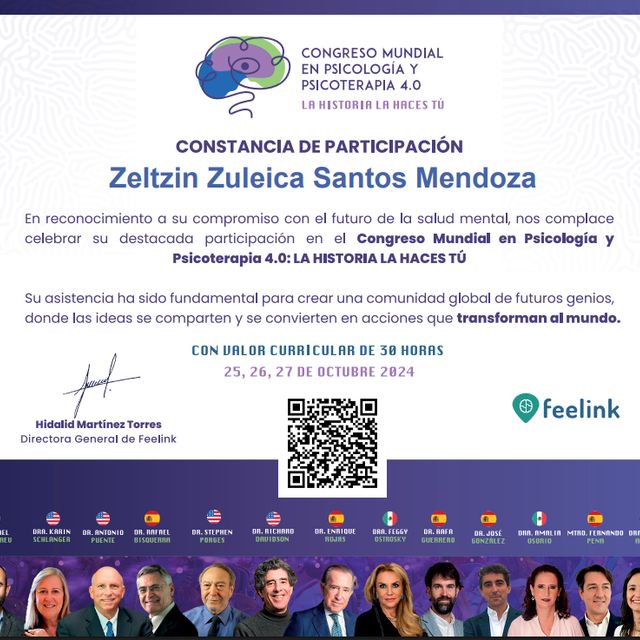 Ampliar imagen: certificate 8