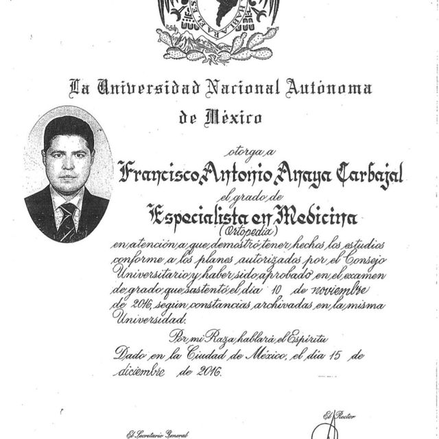Ampliar imagen: certificate 3