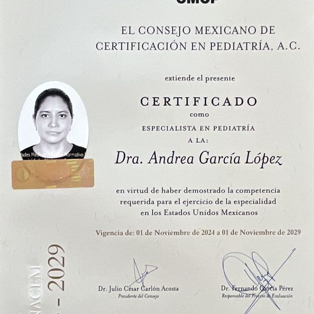 Ampliar imagen: certificate 1