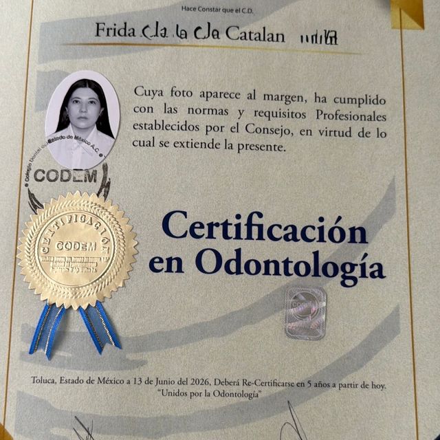 Ampliar imagen: certificate 1