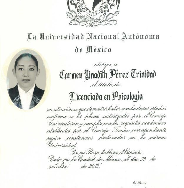 Ampliar imagen: certificate 1