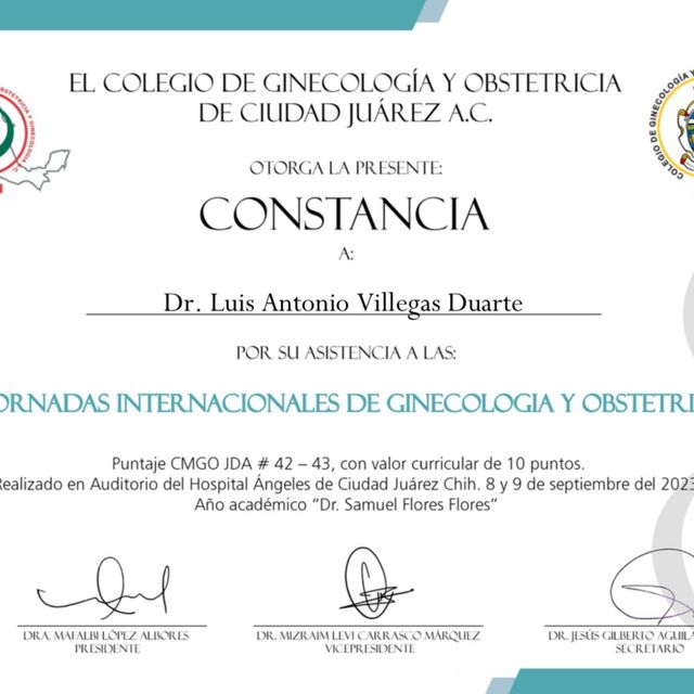 Ampliar imagen: certificate 8