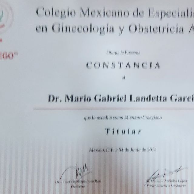 Ampliar imagen: certificate 10