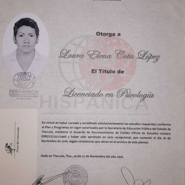 Ampliar imagen: certificate 2