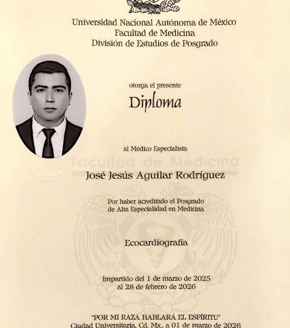 Ampliar imagen: certificate 4