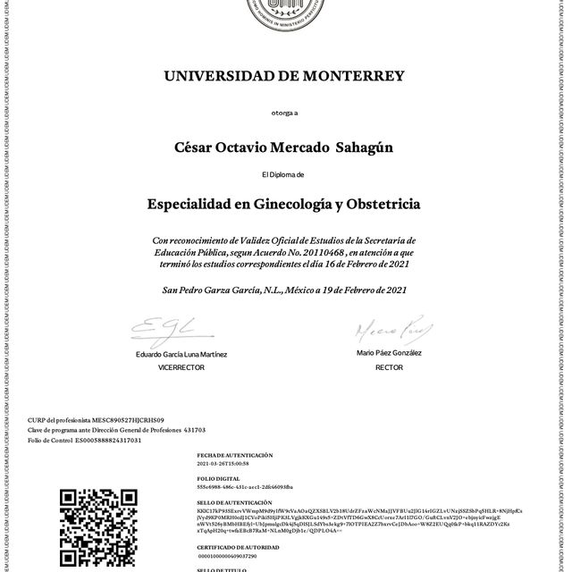 Ampliar imagen: certificate 2