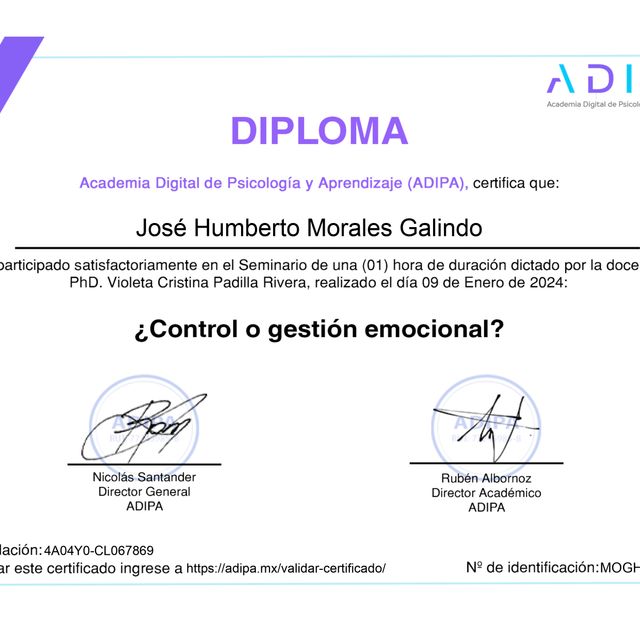 Ampliar imagen: certificate 13