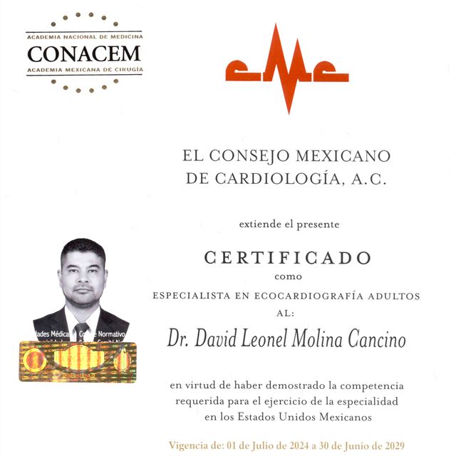 Ampliar imagen: certificate 1