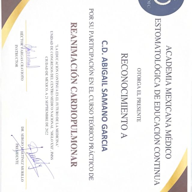 Ampliar imagen: certificate 4
