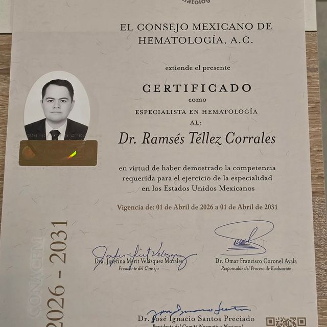 Ampliar imagen: certificate 1