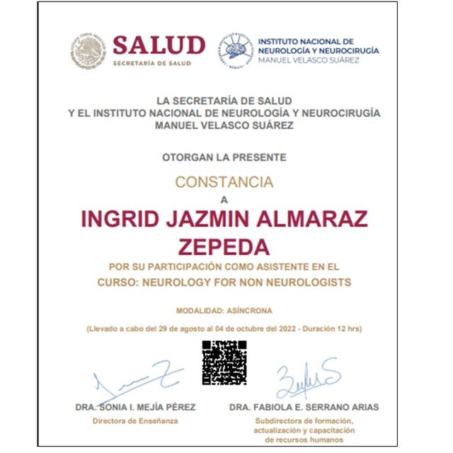 Ampliar imagen: certificate 4