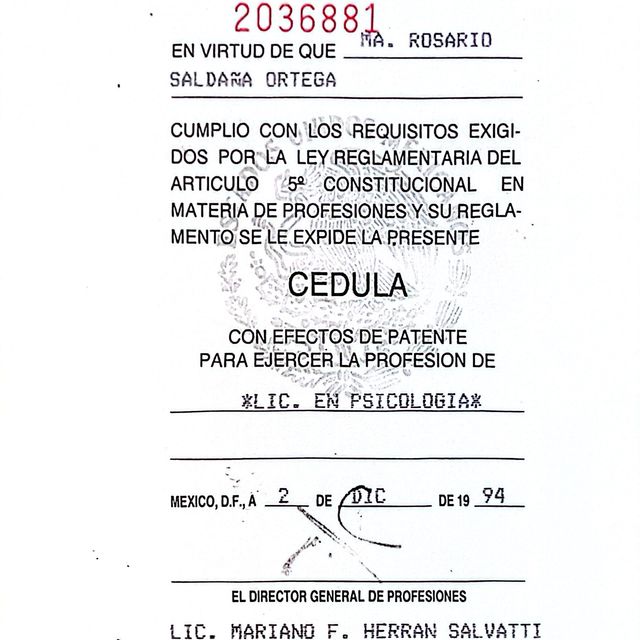 Ampliar imagen: certificate 4