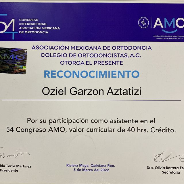 Ampliar imagen: certificate 5