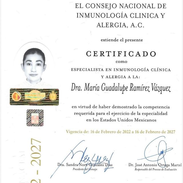 Ampliar imagen: certificate 4