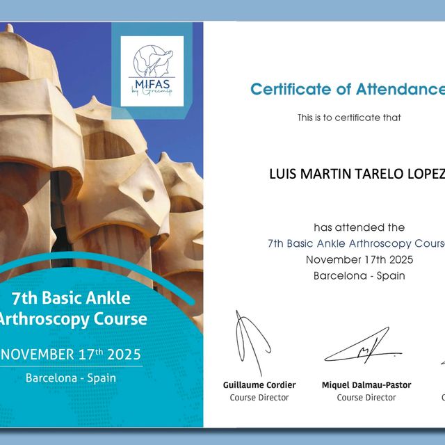 Ampliar imagen: certificate 8
