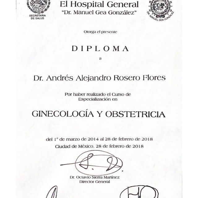 Ampliar imagen: certificate 5