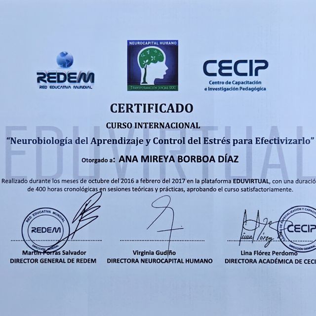 Ampliar imagen: certificate 1