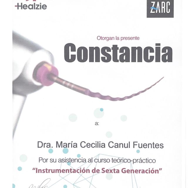 Ampliar imagen: certificate 8