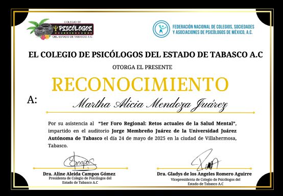 Ampliar imagen: certificate 13