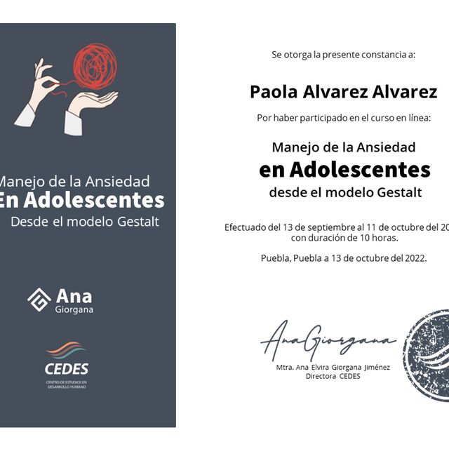 Ampliar imagen: certificate 1