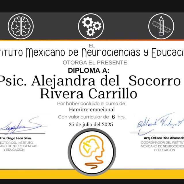 Ampliar imagen: certificate 10