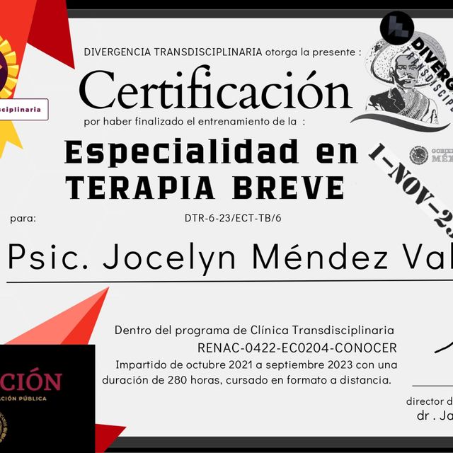 Ampliar imagen: certificate 5