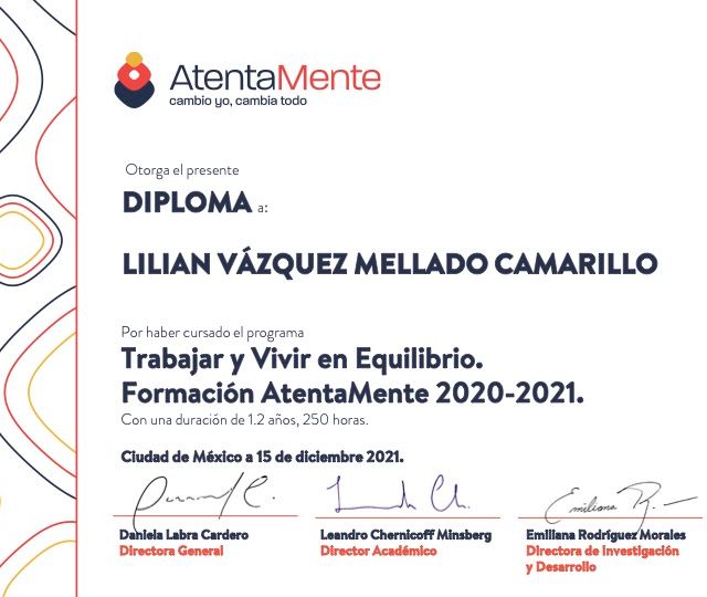 Ampliar imagen: certificate 1