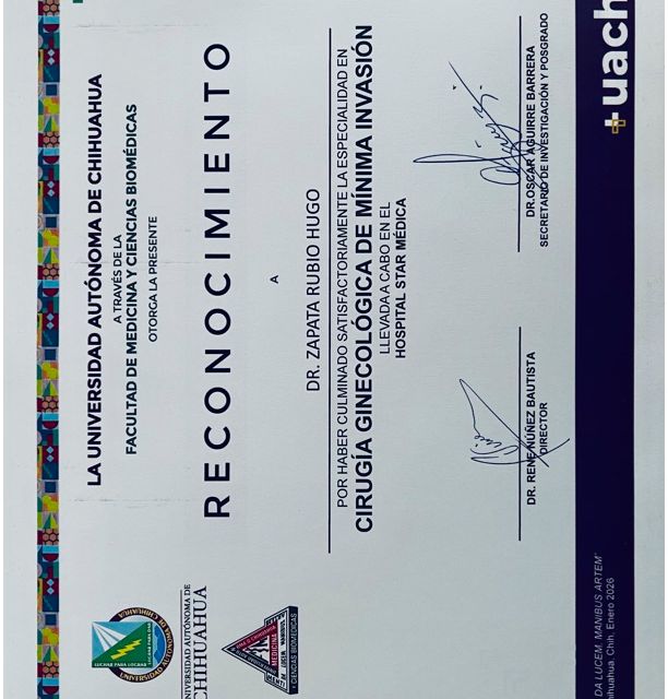 Ampliar imagen: certificate 4