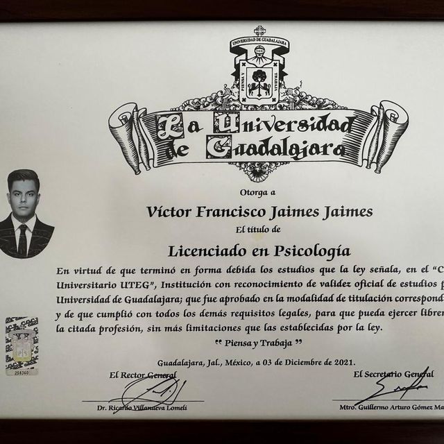 Ampliar imagen: certificate 3