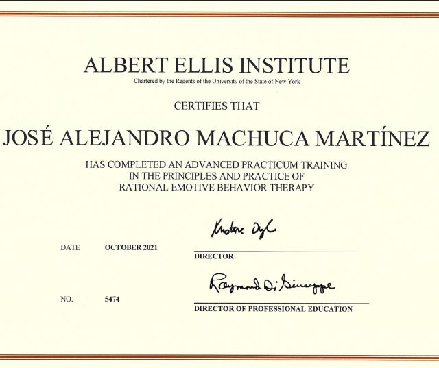 Ampliar imagen: certificate 3
